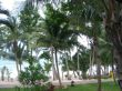 Koh Samet.jpg