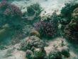 Diving Australia1.jpg